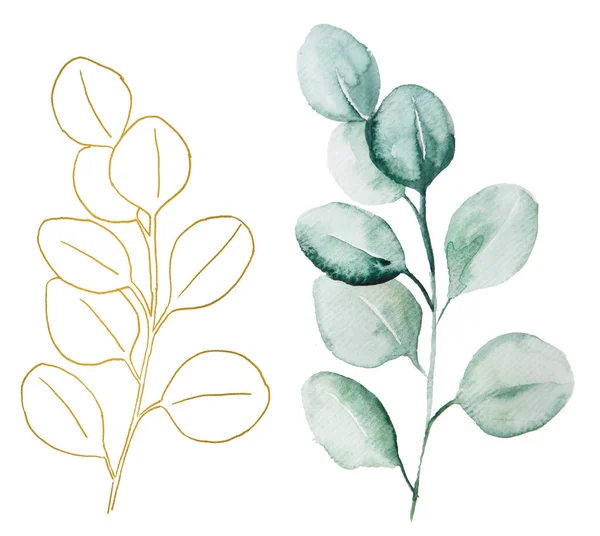 Zelená Zlatá Akvarel Eukalyptus Botanické Listy Ilustrace Elegantní Prvek Pro — Stock fotografie