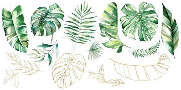 Grüne Und Goldene Aquarell Tropische Palme Banane Und Monsterblätter Illustration — Stockfoto