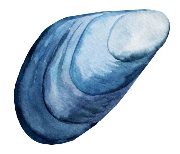 Met Hand Getekende Aquarel Blauwe Mossel Schelpen Geïsoleerd Wit Onderwater — Stockfoto