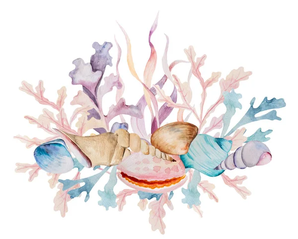 Watercolor arrangement made from seaweeds and seashells isolated. Underwater bouquet, Illustration for greeting cards, summer beach wedding invitations, crafting, printing