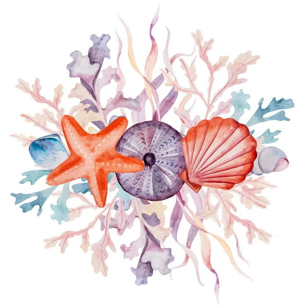 Watercolor Arrangement Made Seaweeds Seashells Starfishes Sea Urchin Isolated Underwater — Stock Photo, Image