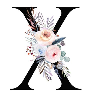 Beyaz üzerine izole edilmiş pastel suluboya kış buketi içeren siyah X harfi. Yaprakları, böğürtlenleri ve çiçekleri mavi, lavantası ve pembesi olan bir kış mektubu. Düğün tasarımı için alfabe çiçek elementleri