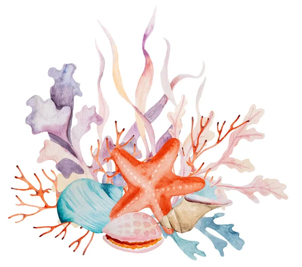 การจ ดเร ยงส าจากสาหร ายทะเลเปล อกหอยปะการ งและดาวทะเลแยกออกจากก อดอกไม ภาพประกอบส าหร — ภาพถ่ายสต็อก