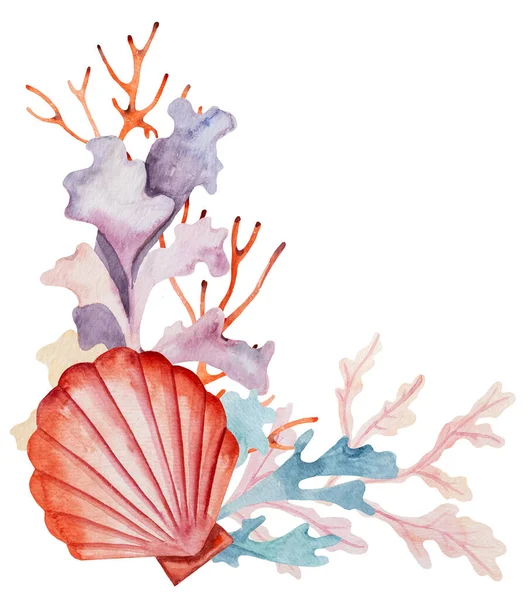 การจ ดเร ยงส าจากสาหร ายทะเลเปล อกหอยและปะการ งแยก อดอกไม ภาพประกอบส าหร — ภาพถ่ายสต็อก