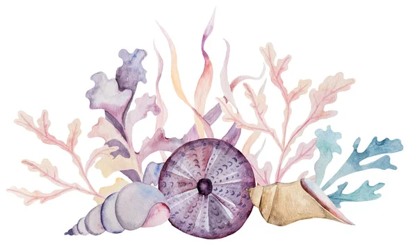 바닷말 조개껍데기 성게등으로 채색의 분리되어 있었다 카드에 해변에서의 초대장 수공예 — 스톡 사진