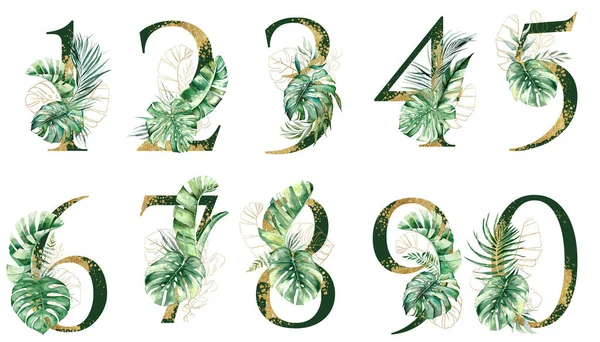 Números Dorados Verdes Decorados Con Hojas Tropicales Verdes Doradas Ilustración — Foto de Stock