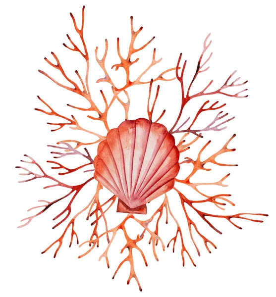 การจ ดเร ยงส าจากปะการ แดงและเปล อกหอยทะเลแยก อดอกไม ภาพประกอบส าหร บการ — ภาพถ่ายสต็อก