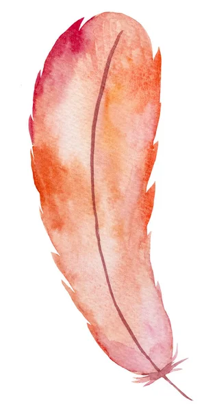 Акварельно Розовое Красное Перо Богемная Иллюстрация Изолирована Монохромный Элемент Канцелярских — стоковое фото