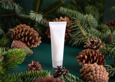 Köknar dallarının yanında beyaz plastik tüpte doğal organik kozmetik krem ve koyu yeşil üzerinde çam kozalakları. Cilt ürünleri için marka paketleme modeli. Sağlık hizmetleri kozmetik konsepti
