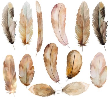 Kahverengi ve bej renkli suluboya tüy, Bohem çizimi izole edilmiş. Boho düğün kırtasiyesi, tebrik kartları ve diğer baskı ve zanaat projeleri için monokrom unsurları ayarlandı