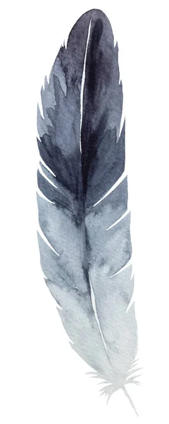 Watercolor Black Grey Feather Bohemian Illustration Isolated Monochrome Element Boho — Stock Photo, Image
