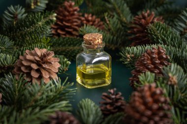 Kozalaklı cam şişe köknar dalları ve çam kozalakları arasındaki temel yağ yakın çekim. Aromaterapi, spa ve bitkisel tıp konsepti. Doğal ilaç ya da kozmetik.