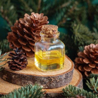 İçinde kozalaklı ağaç yağı bulunan cam şişe köknar dallarının yanında ve çam kozalakları yakın plan üzerinde. Aromaterapi, spa ve bitkisel tıp konsepti. Doğal ilaç ya da kozmetik.