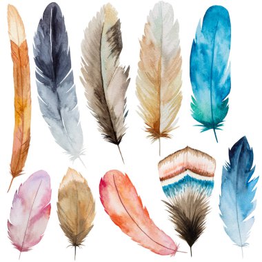 Suluboya mavi, bej, pembe ve gri tüyler, Bohem çizimi izole edilmiş. Boho düğün kırtasiyesi, tebrik kartları ve diğer baskı ve zanaat projeleri için monokrom unsurları ayarlandı