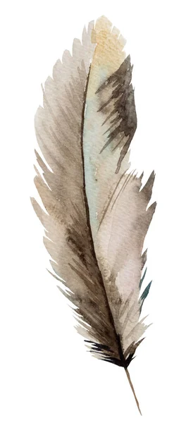 Watercolor Brown Beige Feather Bohemian Illustration Isolated Monochrome Element Boho — Stock Photo, Image