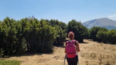 Yaz güneşli bir günde sırt çantasıyla Pollino Ulusal Parkı 'nda yürüyen genç bir kadın. 