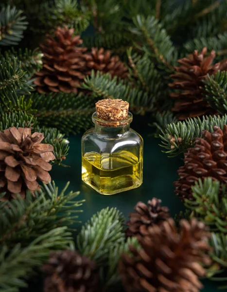 Kozalaklı cam şişe köknar dalları ve çam kozalakları arasındaki temel yağ yakın çekim. Aromaterapi, spa ve bitkisel tıp konsepti. Doğal ilaç ya da kozmetik.