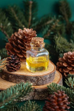 İçinde kozalaklı ağaç yağı bulunan cam şişe köknar dallarının yanında ve çam kozalakları yakın plan üzerinde. Aromaterapi, spa ve bitkisel tıp konsepti. Doğal ilaç ya da kozmetik.