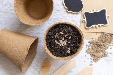 Dil tohumları, biyolojik olarak çözünebilir çömlekler ve bahçe aletleri üst görünüm. Ev yapımı bitkiler, bahçe işleri ve bitki tohumları, beyaz ahşap masa üzerinde.