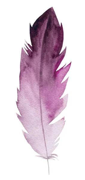 Watercolor Pink Feather Bohemian Illustration Isolated Monochrome Element Boho Wedding — Stock Photo, Image