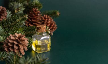 Kozalaklı cam şişe köknar dallarının yanında gerekli yağ ve yakın planda çam kozalakları. Aromaterapi, spa ve bitkisel tıp konsepti. Doğal ilaç ya da kozmetik.
