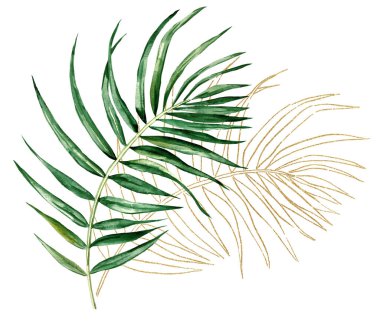 Yeşil ve Altın tropikal suluboya palmiye yaprakları çizim yapar. Düğün tasarımı için zarif elementler, tebrik kartları ve el işi, metin için yer
