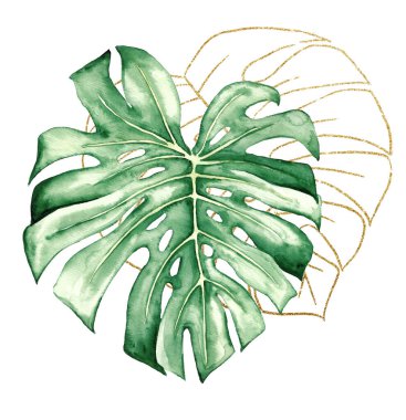 Yeşil ve Altın suluboya tropikal canavarlar çizim yapar. Düğün tasarımı için zarif elementler, tebrik kartları ve el işi, metin için yer