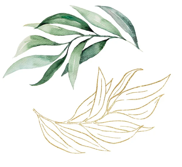 Yeşil Altın Suluboya Botanik Yapraklar Düğün Tasarımı Için Zarif Elementler — Stok fotoğraf
