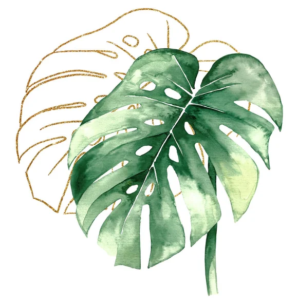 Зеленый Золотой Акварелью Тропического Монстра Листья Иллюстрации Элегантный Элемент Свадебного — стоковое фото