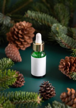Köknar dalları ve çam kozalakları yakınında boş etiketli Yeşil Pipette Dropper Bottles. Marka ambalaj modeli. Cilt bakım ürünü, krem ya da serum. Doğal kozmetik konsepti