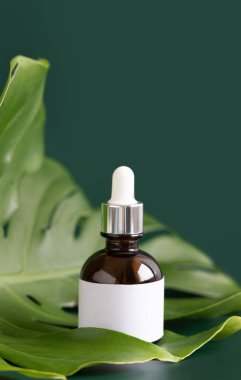 Yeşil masadaki tropikal canavar yaprağına damlatan şişe. Marka ambalaj modeli. Aromatik yağ, cilt bakım ürünü, krem ya da serum. Doğal bitkisel kozmetik uzmanları