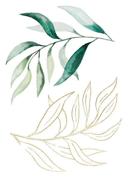 Yeşil Altın Suluboya Botanik Yapraklar Düğün Tasarımı Için Zarif Elementler — Stok fotoğraf