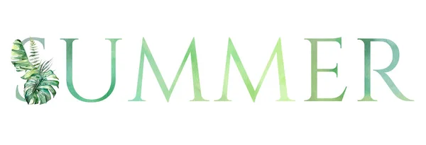 Зелене Слово Summer Прикрашене Зеленим Акварельним Тропічним Листям Ізольованим Білому — стокове фото