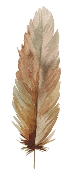 Watercolor Brown Cream Feather Bohemian Illustration Isolated Monochrome Element Boho — Stock Photo, Image