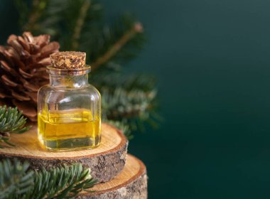 İçinde kozalaklı ağaç yağı bulunan cam şişe köknar dallarının yanında ve çam kozalakları yakın plan üzerinde. Aromaterapi, spa ve bitkisel tıp konsepti. Doğal ilaç ya da kozmetik.
