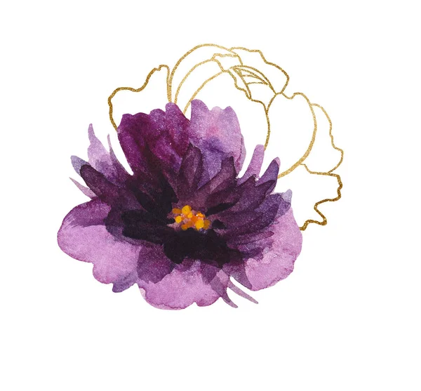 Watercolor Purple Golden Peonies Flowers Illustration Isolated White Elements Wedding — стоковое фото