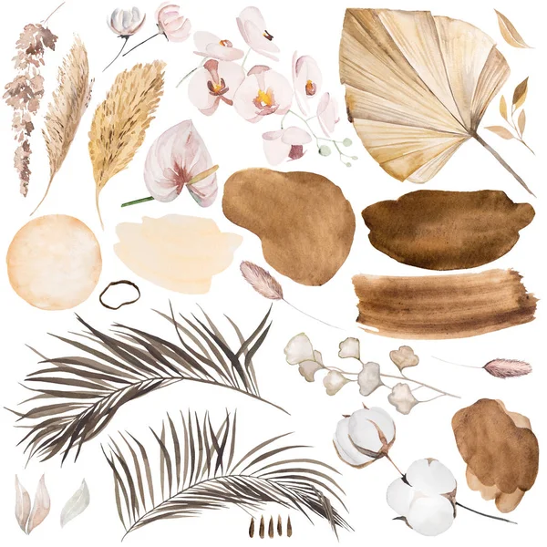 Suluboya bohem elementler - kurumuş yapraklar, pampalar ve tropik çiçek çizimleri, izole edilmiş. Boho etnik düğün tasarımı için unsur