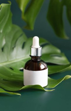 Yeşil masadaki tropikal canavar yaprağına damlatan şişe. Marka ambalaj modeli. Aromatik yağ, cilt bakım ürünü, krem ya da serum. Doğal bitkisel kozmetik uzmanları