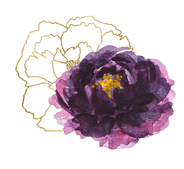水彩紫と金色の牡丹のイラストが隔離されています 結婚式の固定 挨拶カードのためのロマンチックな花の要素 輝く金色の輪郭と紫色の花 — ストック写真