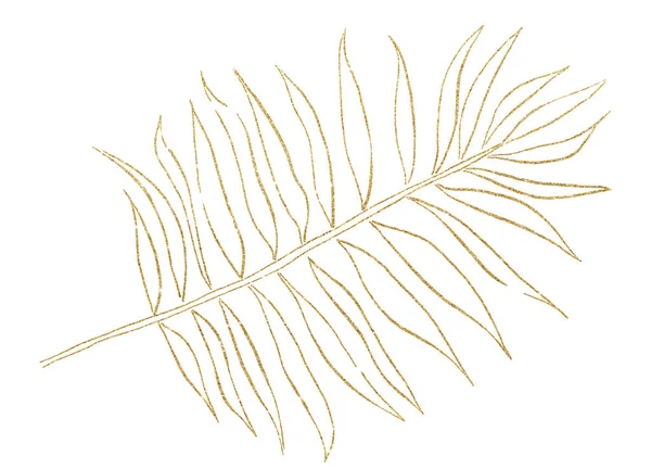 Zlatý Tropický Akvarel Palmového Listu Obrys Ilustrace Elegantní Prvek Pro — Stock fotografie