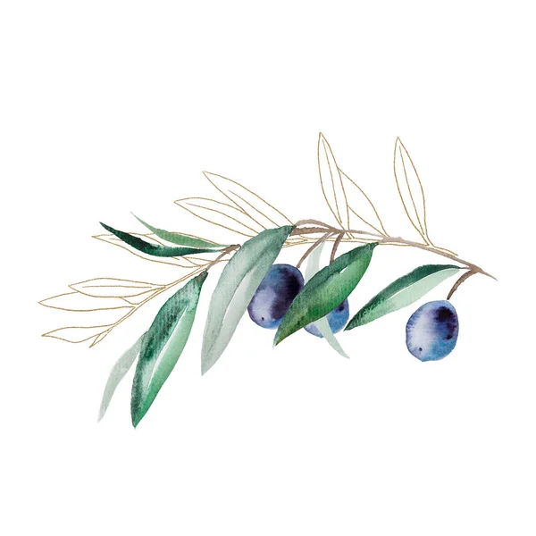 Υδατογραφία Κλαδί Ελιάς Μπλε Φρούτα Και Πράσινα Φύλλα Χρυσή Εικονογράφηση — Φωτογραφία Αρχείου