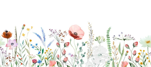 Seamless Border Made Colorful Watercolor Wildflowers Leaves Illustration Isolated Copy — Stok fotoğraf