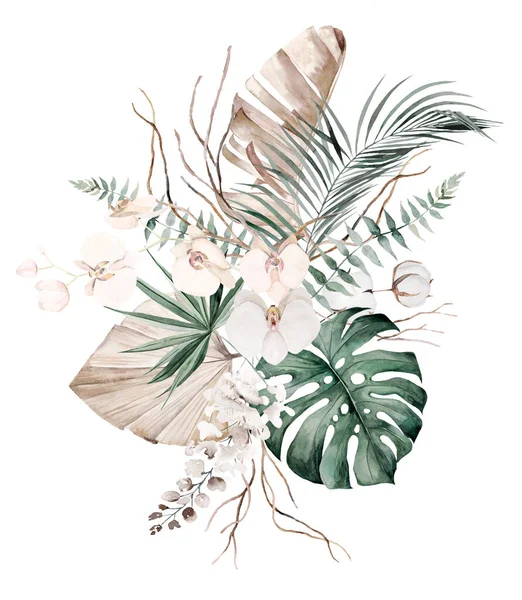 波希米亚水彩花 由米黄色和茶绿色的热带叶子和淡红色兰花组成 图上孤立 Boho或婚礼文具的族裔安排 — 图库照片