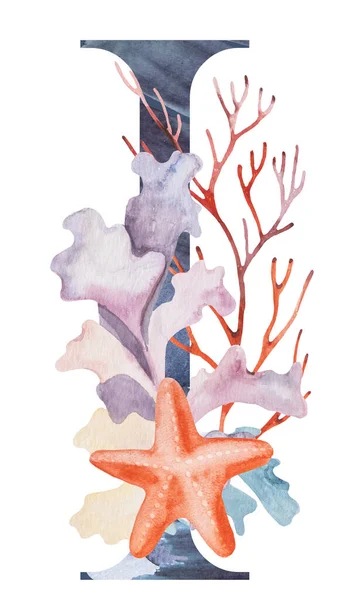 Kék Nagybetű Díszített Akvarell Hínár Korall Kagyló Elszigetelt Illusztráció Kézzel — Stock Fotó
