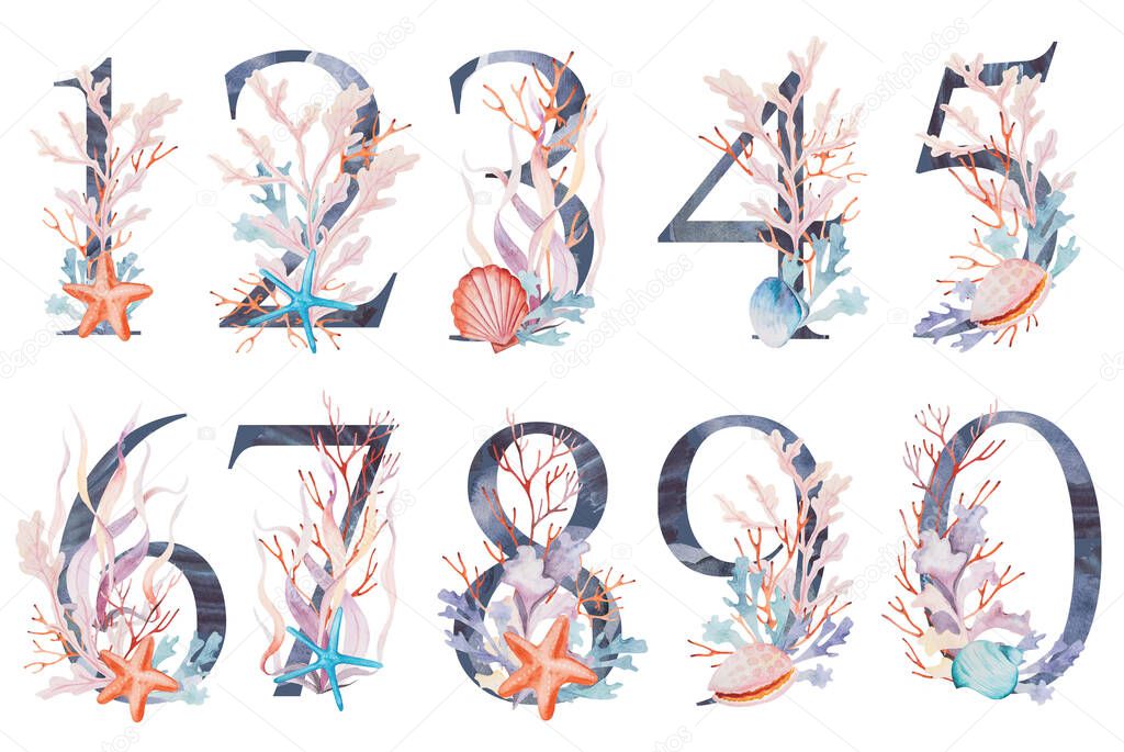 Blue numbers decorated with watercolor seaweeds, corals and seashells isolated illustration. Hand drawn Underwater Element for summer beach wedding stationery. Alphabet marine design