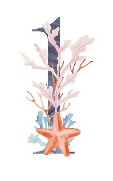Blue Number Decorated Watercolor Seaweeds Corals Seashells Isolated Illustration Hand — Foto de Stock