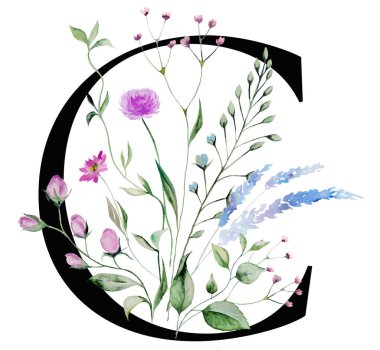 Siyah büyük harf C, suluboya kır çiçekleri ve izole bırakılmış yapraklar. Düğün ve karşılama tasarımı için yaz çiçeği alfabe ögesi