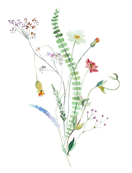 Bouquet Composé Aquarelle Colorée Fleurs Sauvages Feuilles Illustration Isolé Espace — Photo