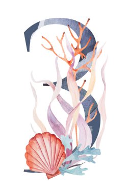 Blue number 3 decorated with watercolor seaweeds, corals and seashells isolated illustration. Hand drawn Underwater Element for summer beach wedding stationery. Alphabet marine design