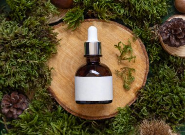 Brown glass dropper bottle with blank label on wooden piece between green moss, pine cones and nuts, top view, mockup. Skincare beauty product package. Natural Organic Cosmetic concept